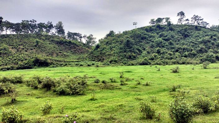 পাহাড়ে মিললো তরুণীর অর্ধগলিত মরদেহ