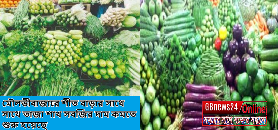 মৌলভীবাজারে শীত বাড়ার সাথে সাথে তাজা শাখ সবজির দাম কমতে শুরু...